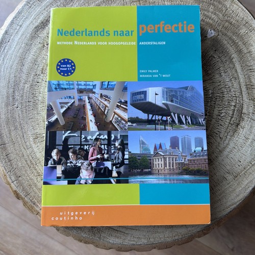 Nederlands naar perfectie