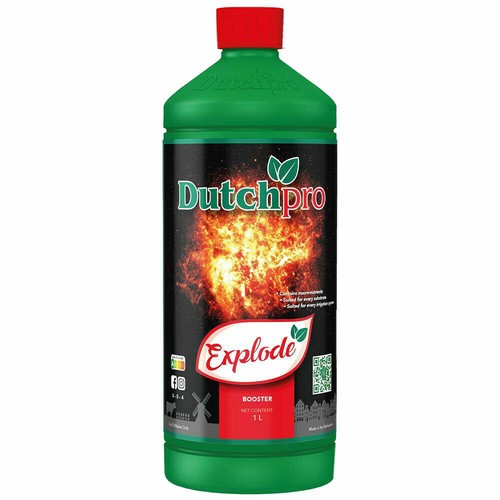 Dutch pro explode bloom - 1l,
