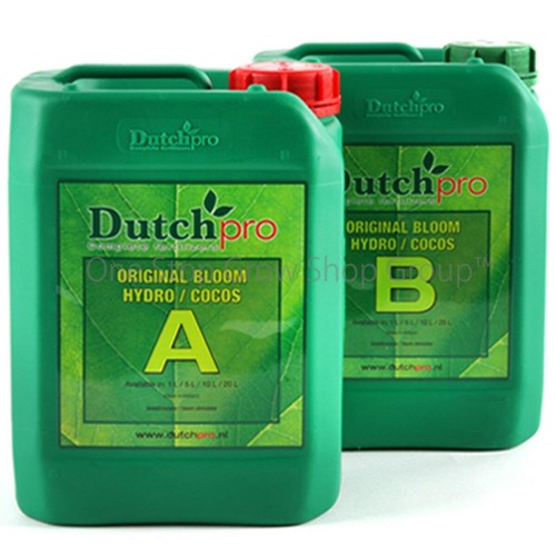 Dutch pro original bloom b - original, a&b