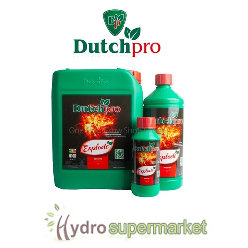 Dutch pro explode - pro, 'explode'