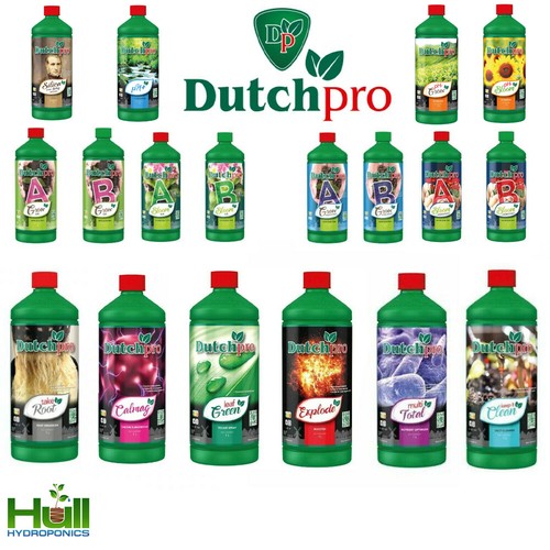 Dutch pro full - dutch,