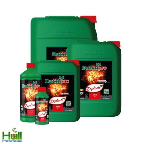 Dutch pro explode - pro,